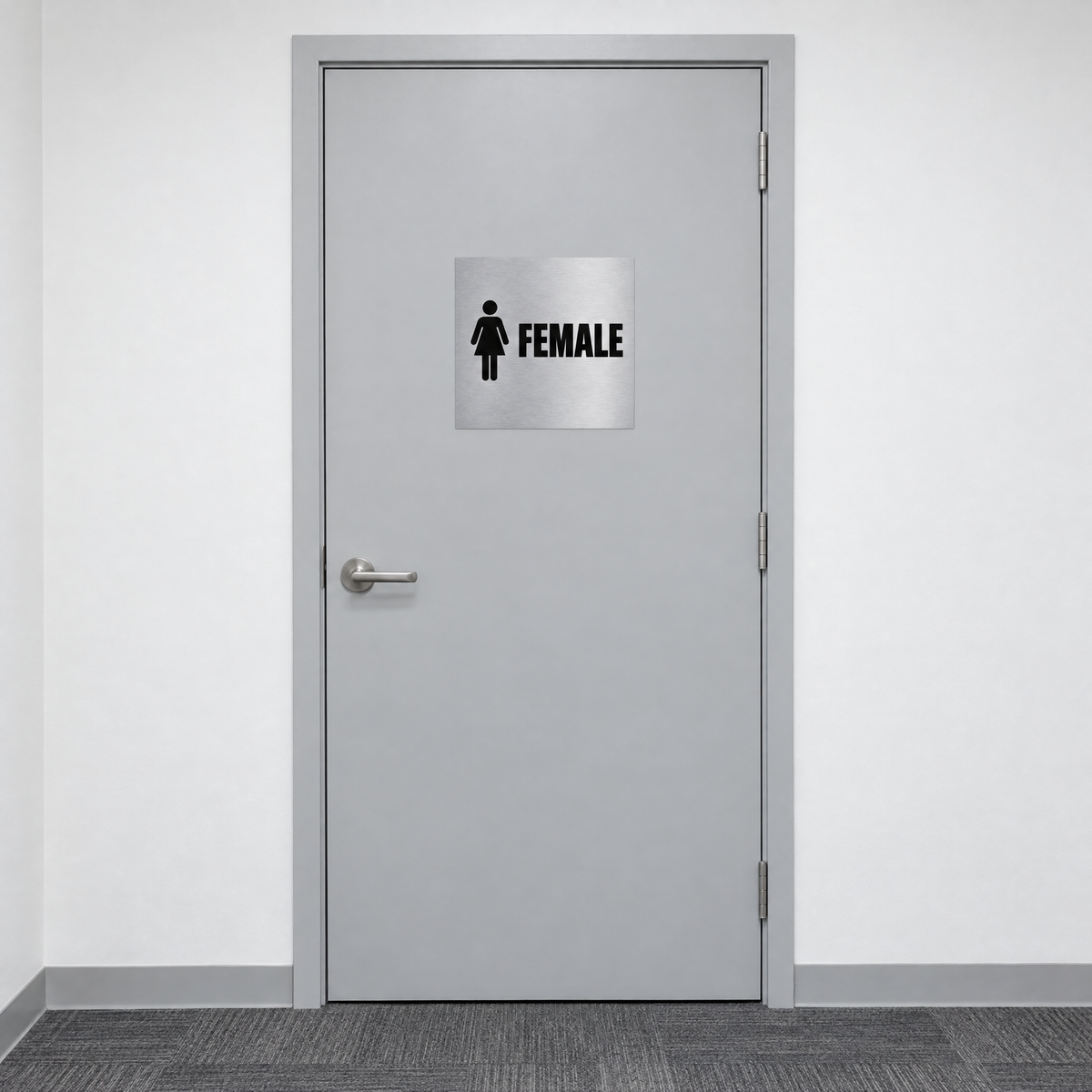 Female Toilet Sign – Silver & Black installed on site